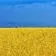 Ренат Ахметов