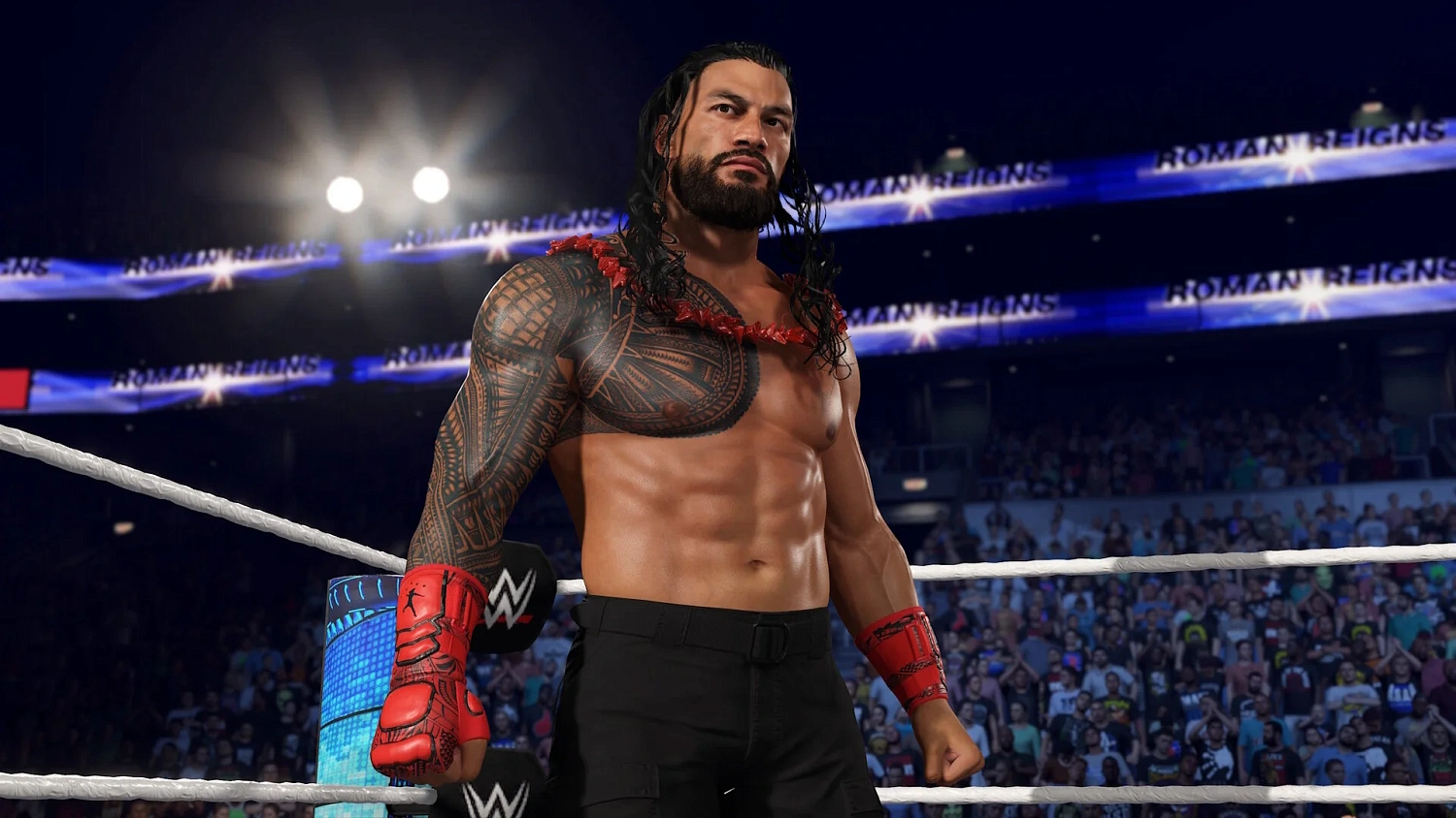 WWE 2K25 (ENG)